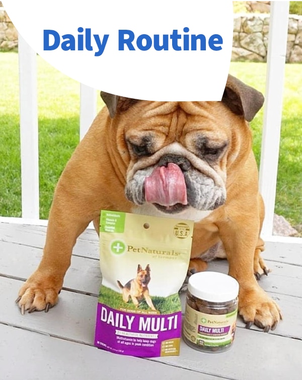 Daily Routine